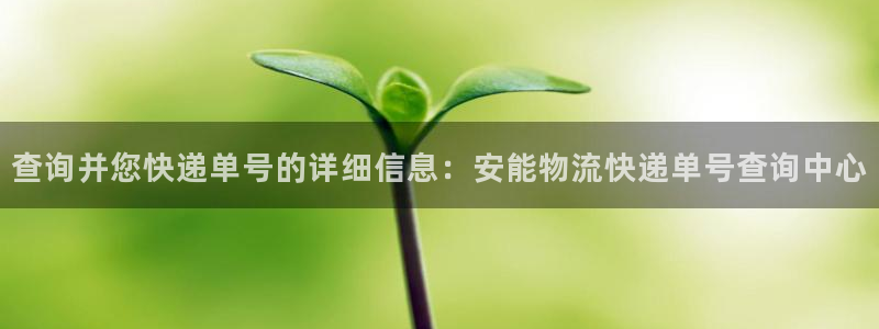 ,优游国际官网多少：查询并您快递单号