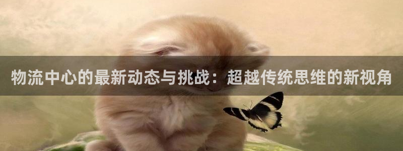 ,优游国际农业银行是狗卡吗：物流中心的最新动态与挑战：超越传