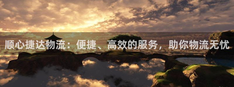 ,优游国际官网网站：顺心捷达物流：便