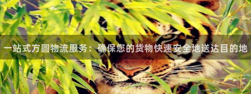 优游国际官网入口app：一站式方圆物