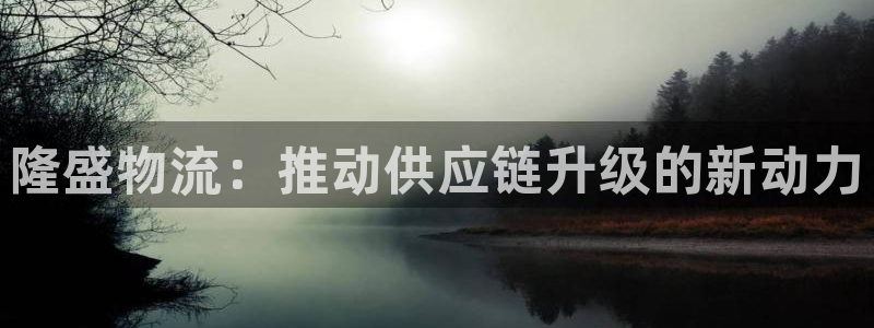 ,优游国际登录网：隆盛物流：推动供应
