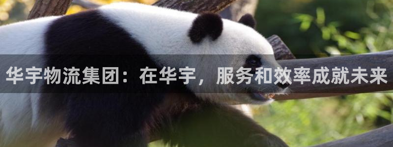 南宫,优游国际怎么注册：华宇物流集团
