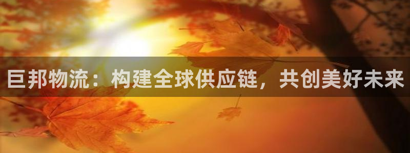 ,优游国际链接是什么：巨邦物流：构建