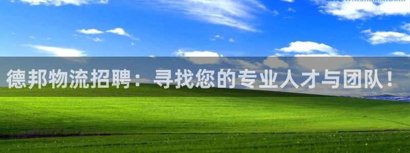 优游国际官网下载链接是什么：德邦物流