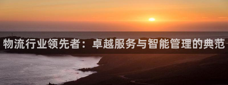 ,优游国际登录流程：物流行业领先者：