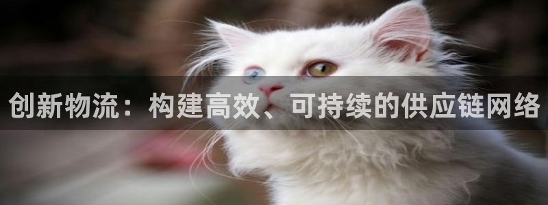 ,优游国际注册网址:创新物流:构建高