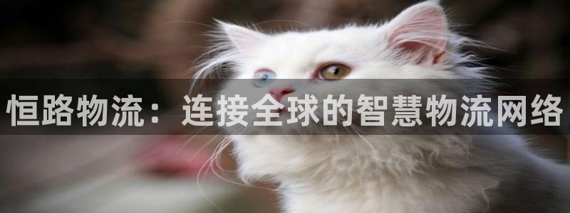 优游国际官网入口pc正版:恒路物流: