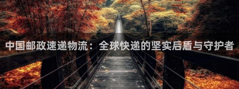,优游国际预测加拿大师准