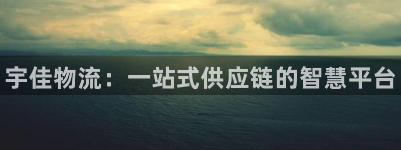 ,优游国际忘记账号:宇佳物流:一站式