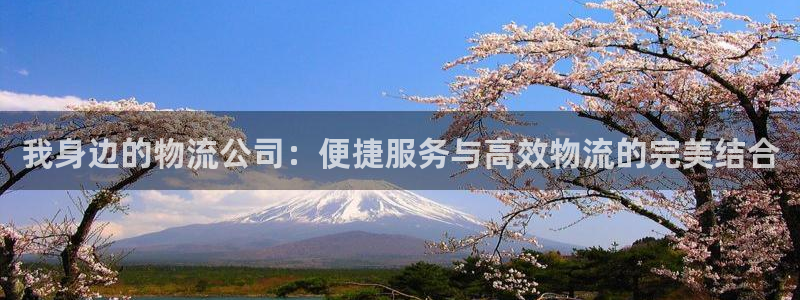 ,优游国际大神预测:我身边的物流公司