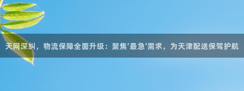 ,优游国际cn:天网深纠,物流保障全