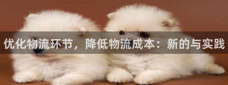 ,优游国际下分了不给钱:优化物流环节