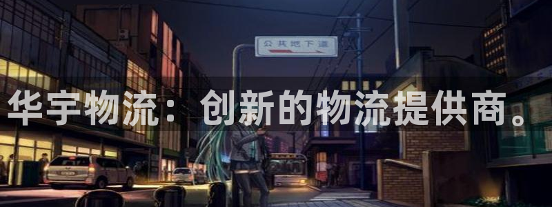 ,优游国际注册网址百度知道:华宇物流