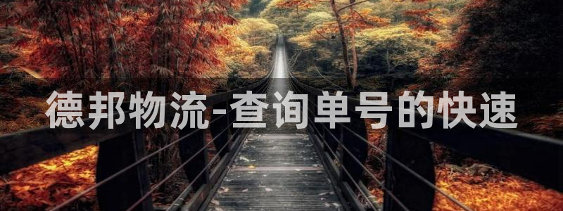 ,优游国际登录网：德邦物流-查询单号