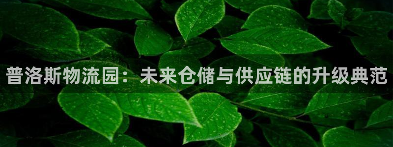 ,优游国际app官网少林足球:普洛斯