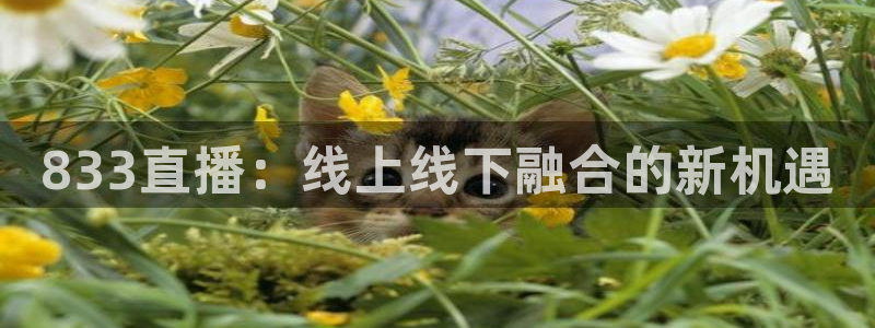黑白体育免费直播：833直播：线上线下融合的新机遇