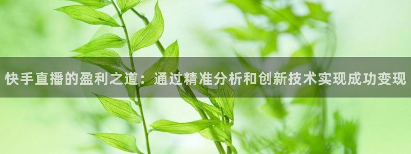 黑白篮球在线直播：快手直播的盈利之道：通过精准分析和创新技术实现成功变现