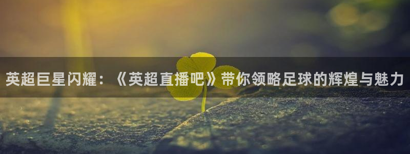 黑白体育英超直播