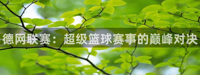 黑白体育官网直播：德网联赛：超级篮球赛事的巅峰对决