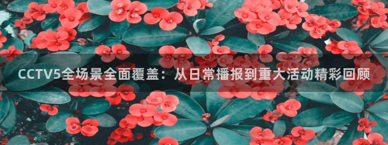 黑白篮球直播免费观看：CCTV5全场景全面覆盖：从日常播报到重大活动精彩回顾