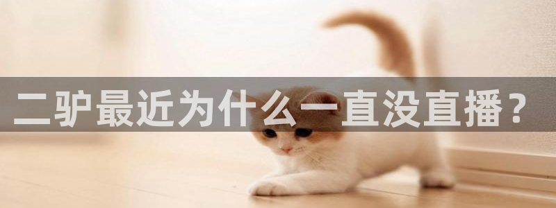 黑白体育直播114：二驴最近为什么一直没直播？