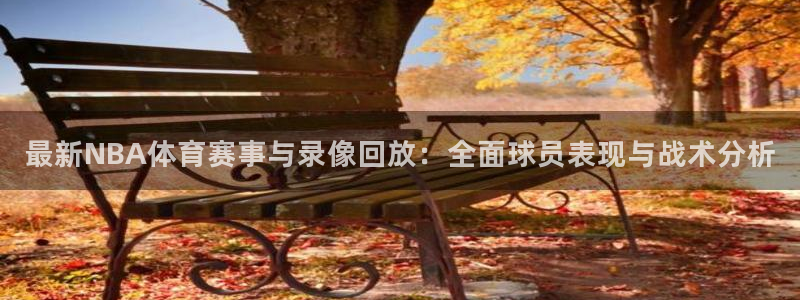 黑白直播足球比赛：最新NBA体育赛事与录像回放：全面球员表现与战术分析