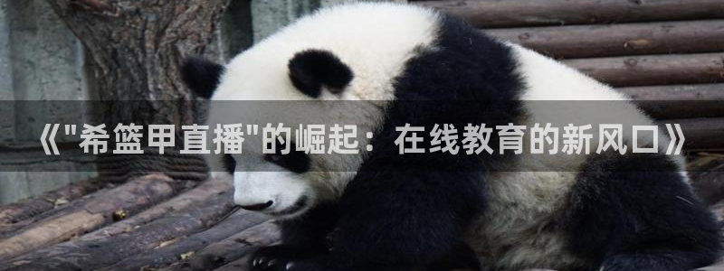 黑白体育直播app免费下载：《\