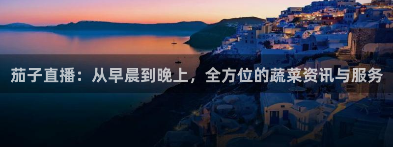 黑白直播体育下载：茄子直播：从早晨到晚上，全方位的蔬菜资讯与服务