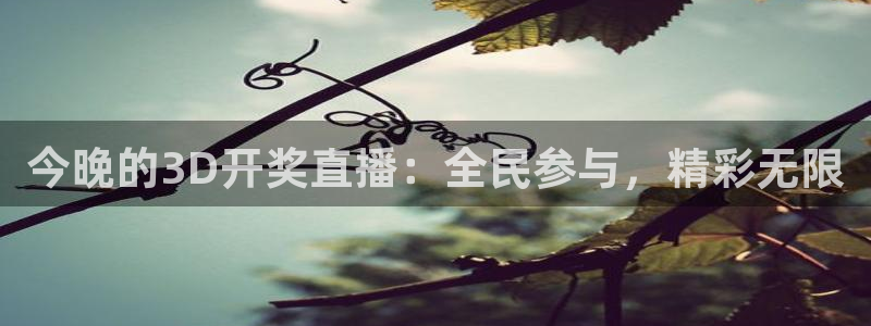 黑白足球视频直播：今晚的3D开奖直播：全民参与，精彩无限